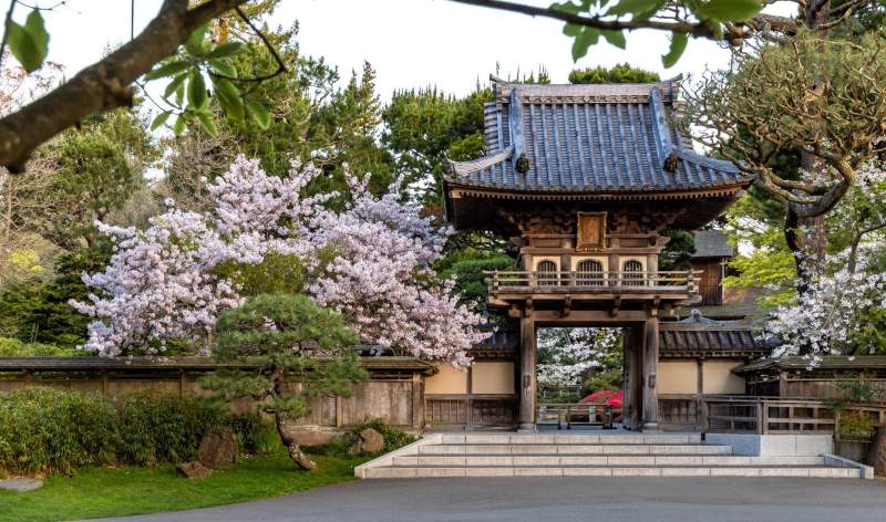 Office Gardensof Golden Gate Park Japanese Tea Garden Photo V2