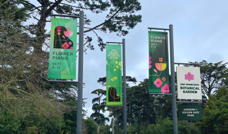 Office Gardensof Golden Gate Park SF Botanical Garden Flower Piano Banners V2